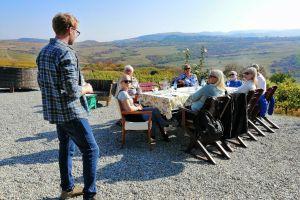 Vineyard visit