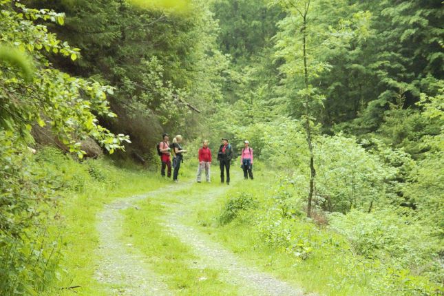 Wildlife tracking trip in Romania